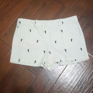 Loft shorts size 10